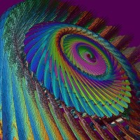 Prather_Anne_Head_Upward