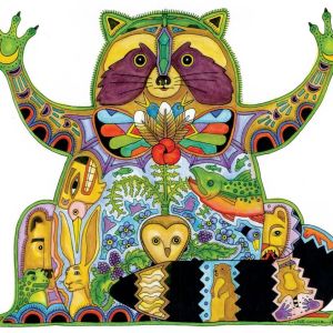 Coccia-Raccoon