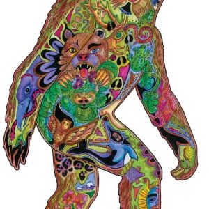 Coccia-Sasquatch