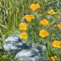 Poppies2024_copy_1080x1074