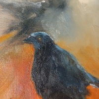 Spirit-Crow-Delores-Haugland-