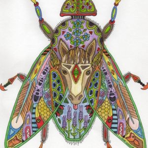 CocciaHorse-Fly