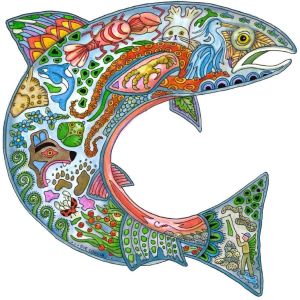 Coccia-Coho
