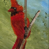 Williams-Theresa-Acrylic-Cardinal-Red-75