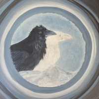 Williams_Theresa_Anchoage_White-Raven__Friend_Through_the_Camera_-Lens_20x20