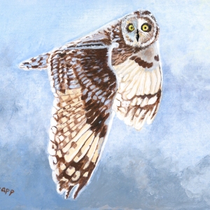 In-Flight-Shor-t-eared-Owl-Acrylic-by-Susan-Swapp