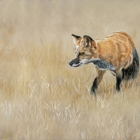 On-The-Hunt-Again-Soft-Pastel-by-Susan-Swapp