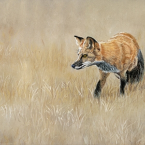On-The-Hunt-Again-Soft-Pastel-by-Susan-Swapp