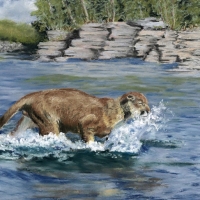 Swapp_Susan_River-Run_-Soft-Pastel