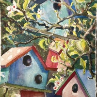 Birdhouses2