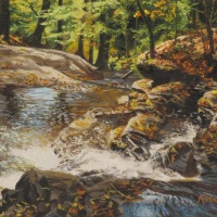 Falls-At-Ricketts-Glen-XII-6x9