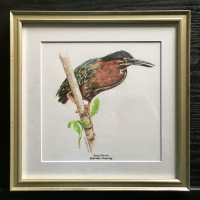 Janis_Howes_GreenHeron_framed