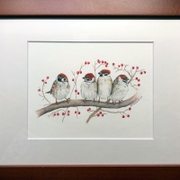 Janis_Howes_Tree_Sparrows