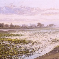 Morning-Marsh-6x15