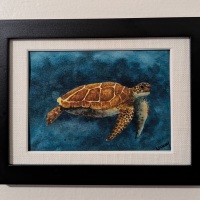 Sea-Turtle