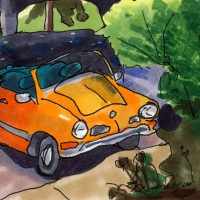 Telsrow_Dana_TopDown