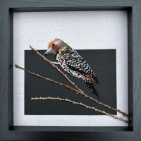 17584955606191764544078533855527