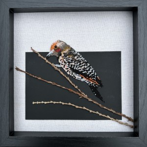 17584955606191764544078533855527