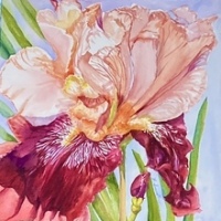 17584960500993873876035017133984