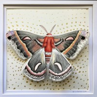 17584960716612973220481806429743