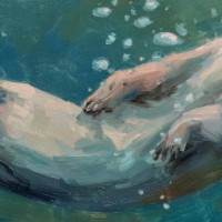 17584961089547615545974356921314