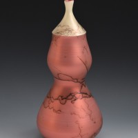 17584961238361522733148598775079