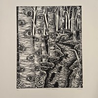 17584963747892410087503191666609