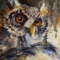 17584964548711511472045846876694