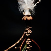 17584967600517779705790360368901