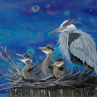 Heron-Family-by-Kathleen-A-Johnson-350.jpg-nggid03780-ngg0dyn-0x360-00f0w010c010r110f110r010t010