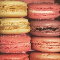 Macarons-by-Erika-Sheehan.jpg-nggid03783-ngg0dyn-0x360-00f0w010c010r110f110r010t010