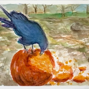 A-Crow-Enjoying-a-Pumpkin_11x14_10-2024