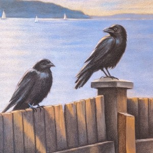 caulfieldcrows