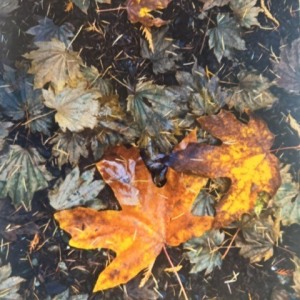 image0